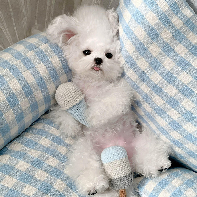 《英雄聯盟》符號網名大全花樣符號可複製