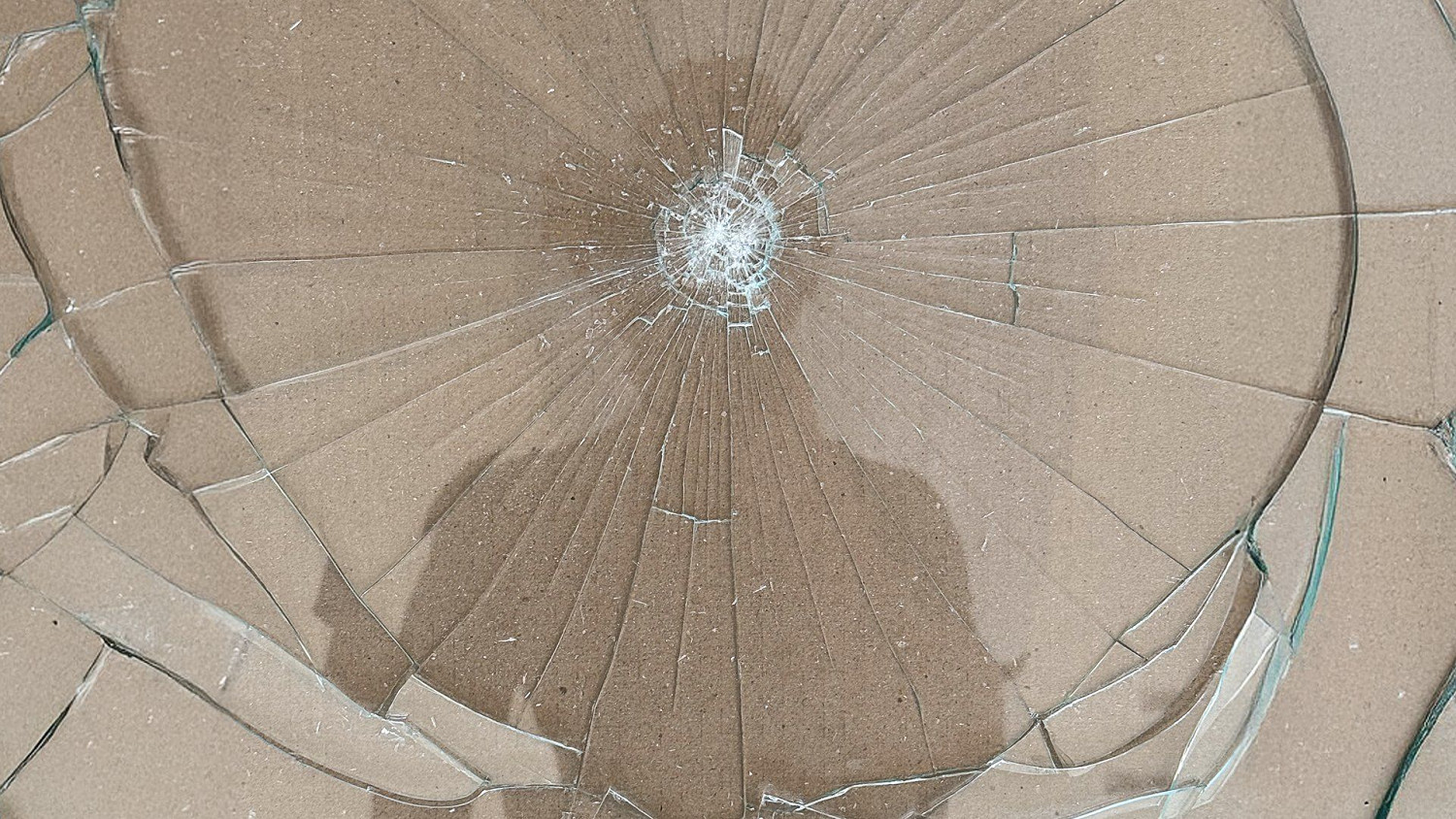 《最後生還者2RE》Steam開機動畫：暗黑氛圍拉滿！