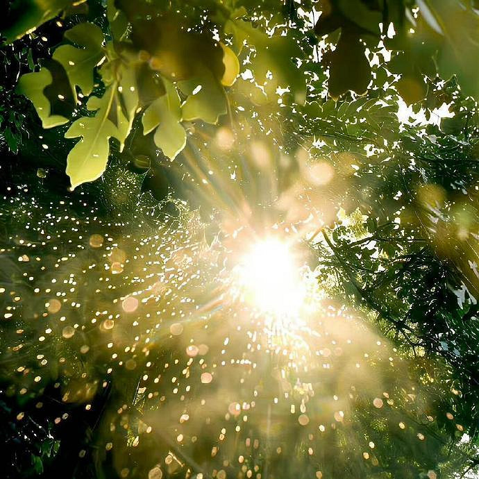 《英雄聯盟》比較遺憾的網名大全 《英雄聯盟》比較遺憾的網名大全