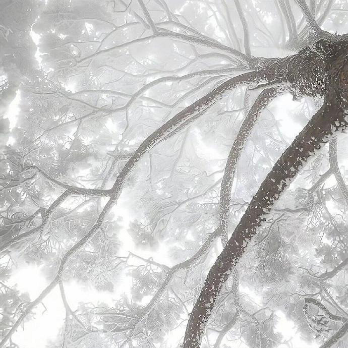 《英雄聯盟》愛而不得遺憾的網名分享 《英雄聯盟》愛而不得遺憾的網名分享