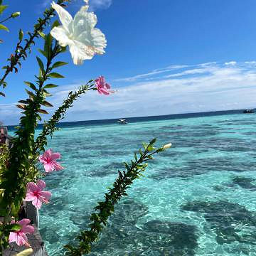 《英雄聯盟》愛而不得遺憾的網名分享 《英雄聯盟》愛而不得遺憾的網名分享