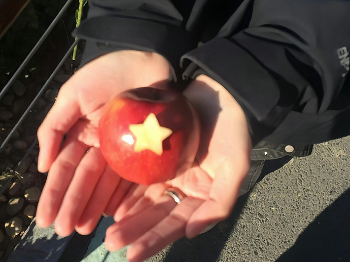 《英雄聯盟》搞笑又皮的暱稱大全 《英雄聯盟》搞笑又皮的暱稱大全