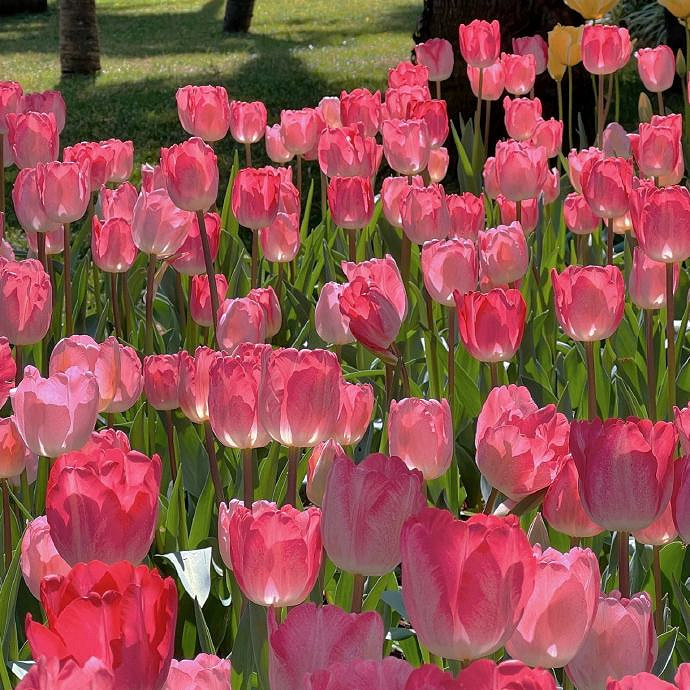 《英雄聯盟》熱門暱稱四字網名推薦2025 《英雄聯盟》熱門暱稱四字網名推薦2025