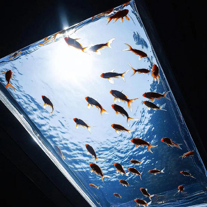 《英雄聯盟》好聽又可愛的仙女暱稱分享