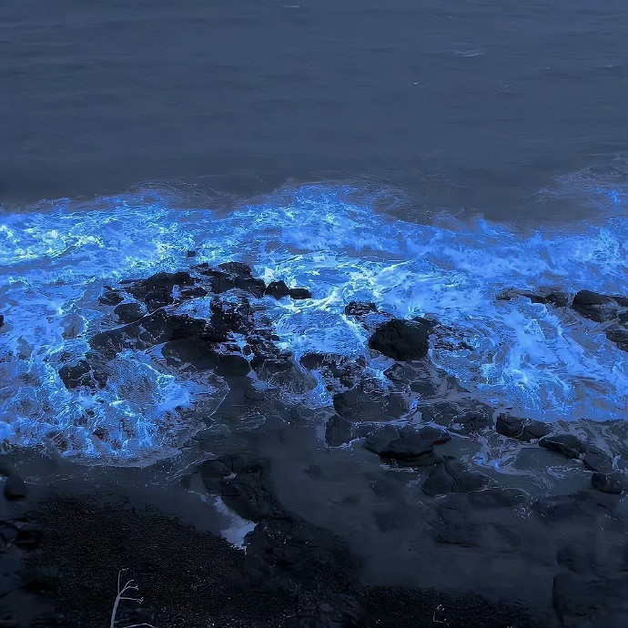 《英雄聯盟》熱門暱稱四字網名推薦2025 《英雄聯盟》熱門暱稱四字網名推薦2025