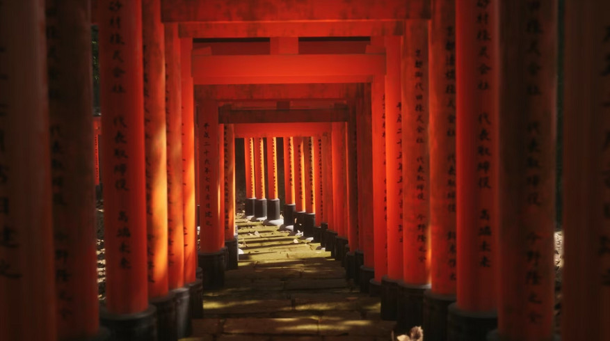 步行模擬器《模擬美景攝影》發售!山裡風景真不錯~ 步行模擬器《模擬美景攝影》發售!山裡風景真不錯~