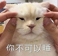 《英雄聯盟》獨一無二的抖音名2025暱稱大全 《英雄聯盟》獨一無二的抖音名2025暱稱大全