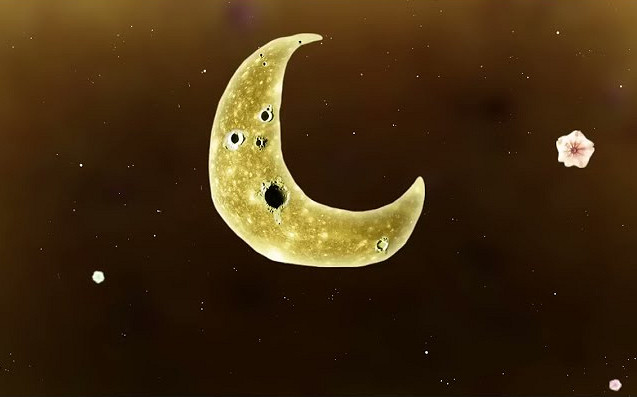 好評解謎冒險遊戲《植物精靈》EPIC限時免費!有點費腦 好評解謎冒險遊戲《植物精靈》EPIC限時免費!有點費腦