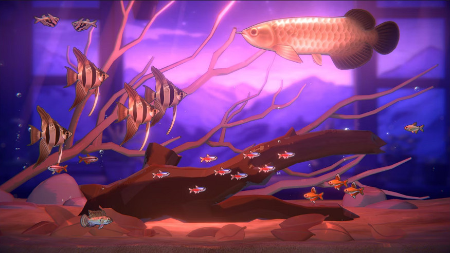 還有這賽道?養魚造景模擬《魚我一起 水癒時光》亮相 還有這賽道?養魚造景模擬《魚我一起 水癒時光》亮相