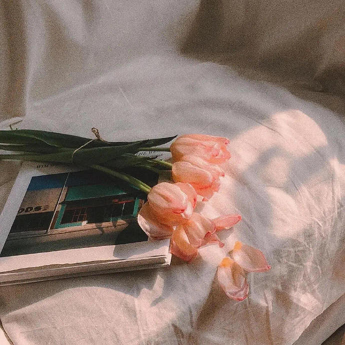 《英雄聯盟》獨特好聽的id大全 《英雄聯盟》獨特好聽的id大全