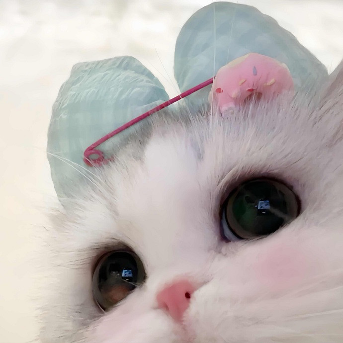 《英雄聯盟》對未來充滿希望的暱稱一覽 《英雄聯盟》對未來充滿希望的暱稱一覽