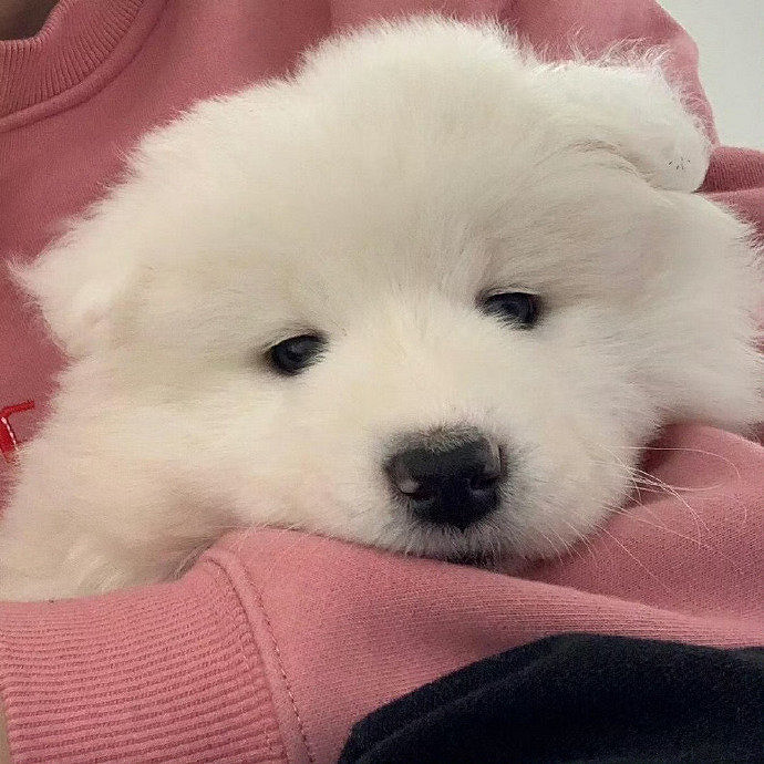 《英雄聯盟》對未來充滿希望的暱稱一覽 《英雄聯盟》對未來充滿希望的暱稱一覽