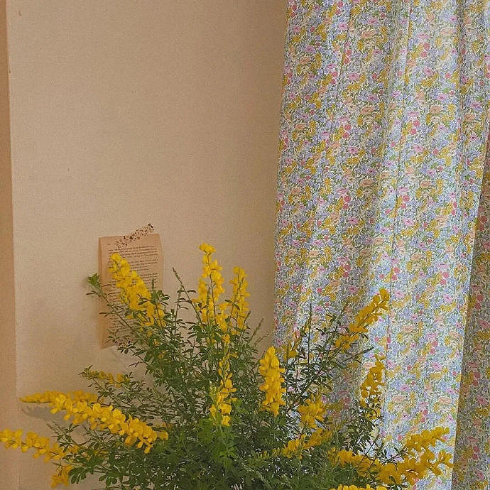 《英雄聯盟》獨特好聽的id大全 《英雄聯盟》獨特好聽的id大全