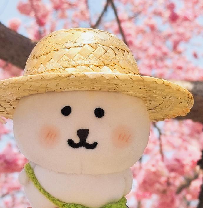 《英雄聯盟》期待一切美好的暱稱推薦 《英雄聯盟》期待一切美好的暱稱推薦