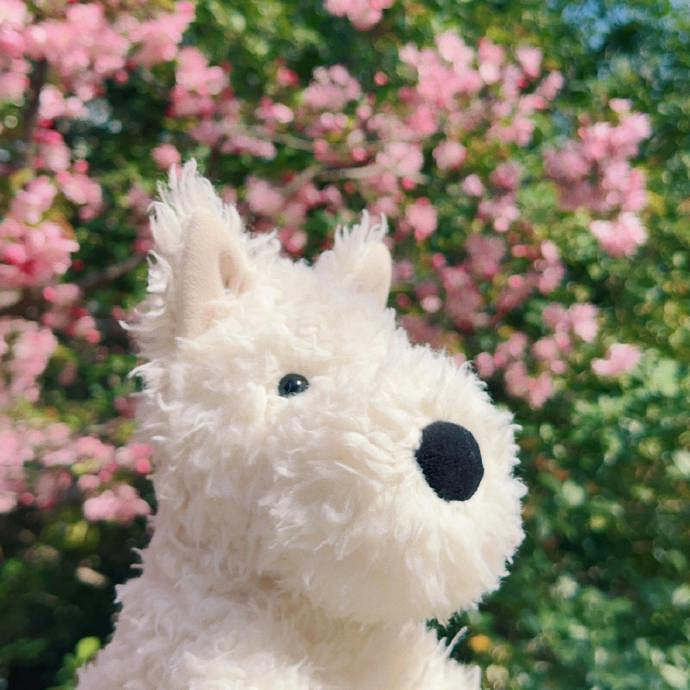 《英雄聯盟》期待一切美好的暱稱推薦 《英雄聯盟》期待一切美好的暱稱推薦