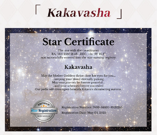 《崩壞：星穹鐵道》玩家為紙片人買下星球命名權