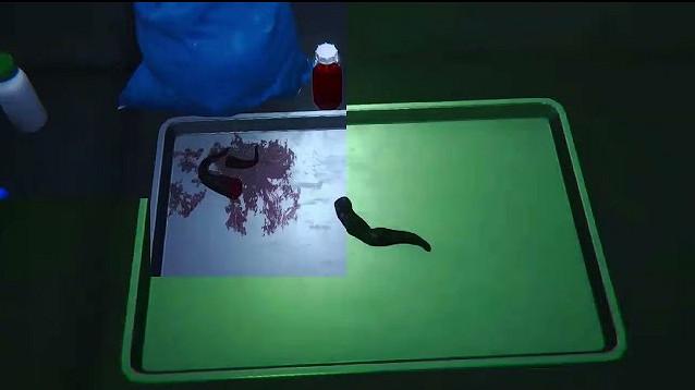 社畜模擬《下班後的辦公室》上線 深夜加班回家迷路 社畜模擬《下班後的辦公室》上線 深夜加班回家迷路