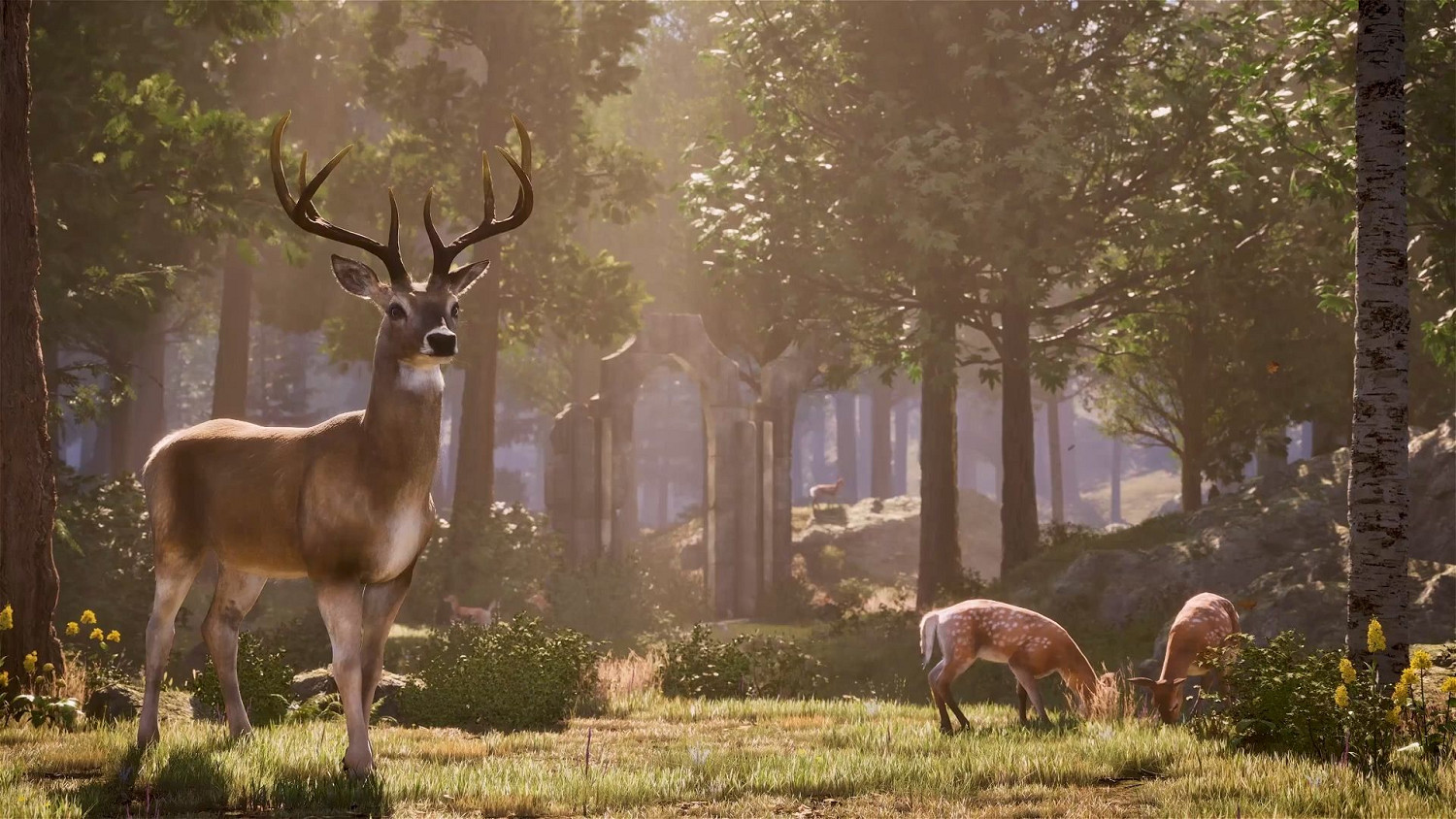 《上古卷軸4:重製版》現已正式發售!售價約新台幣1078元 《上古卷軸4:重製版》現已正式發售!售價約新台幣1078元