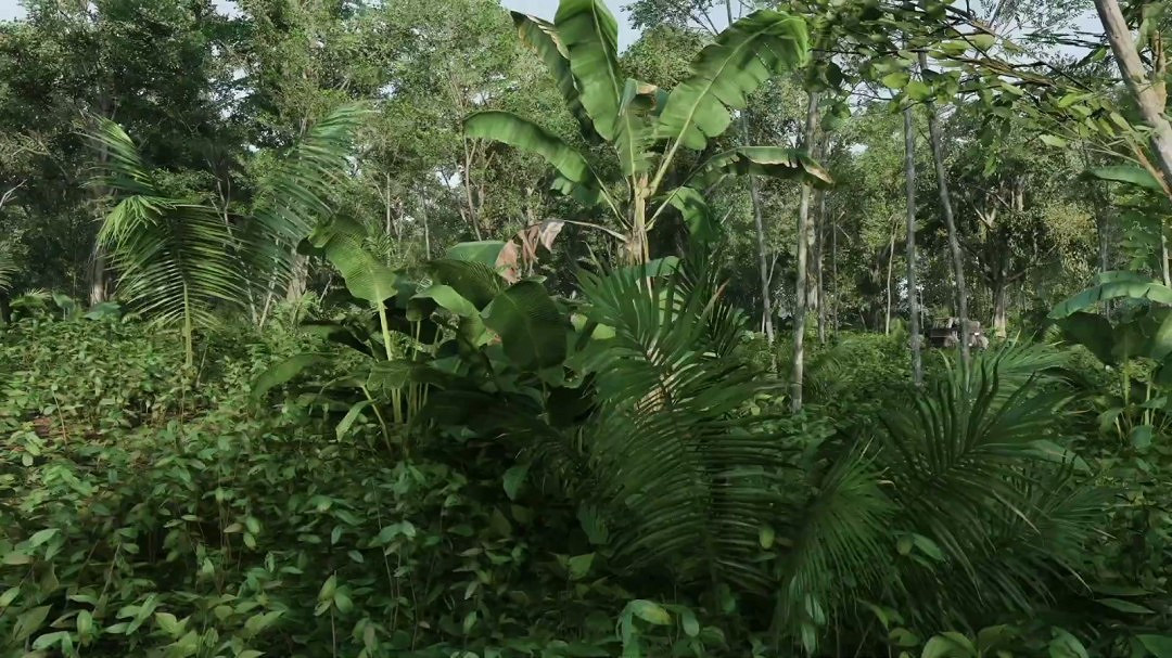 《極限競速：地平線5》影片 PS5 Pro遠勝Xbox Series X