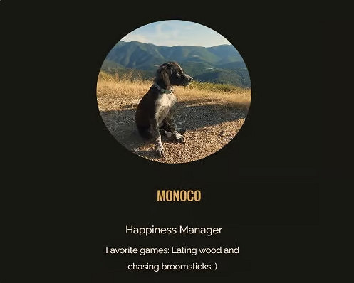 33人團隊逆襲育碧!《光與影33號遠征隊》成年度黑馬 33人團隊逆襲育碧!《光與影33號遠征隊》成年度黑馬