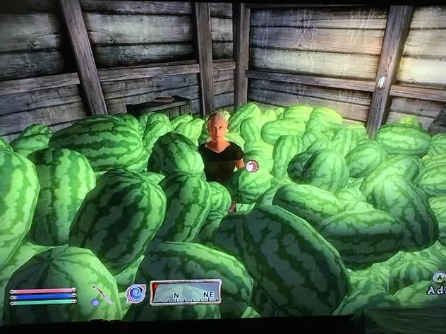 原汁原味的遊戲體驗!《上古卷軸4RE》竟保留物品複製Bug