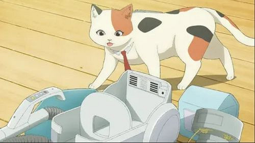 《外星人姆姆》華麗登場:拆解家電的外星貓引發新歡 《外星人姆姆》華麗登場:拆解家電的外星貓引發新歡