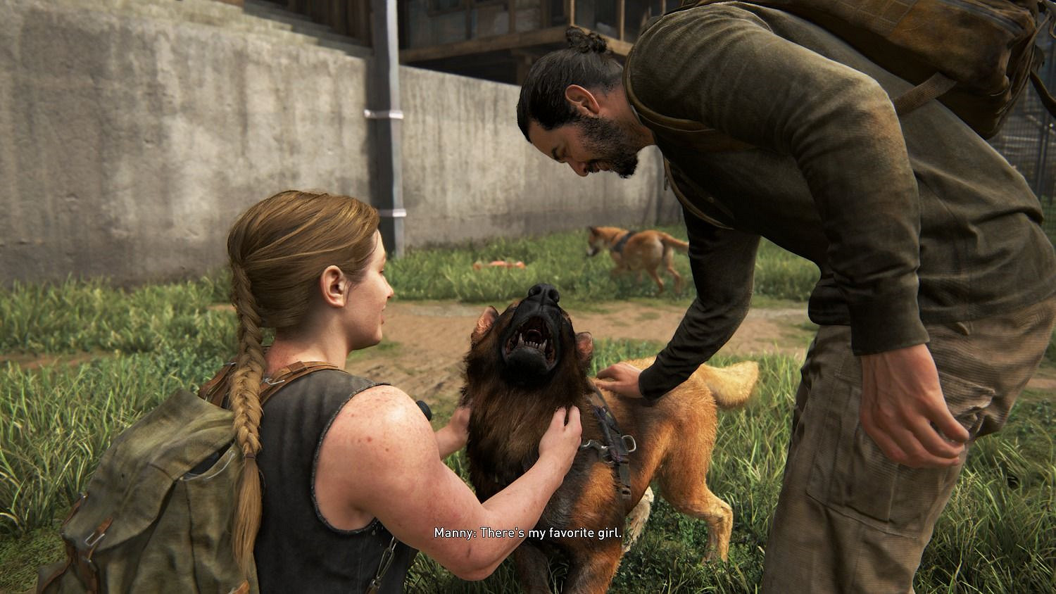 《美末2》犬類設計:生存遊戲裡埋下的道德“地雷陣” 《美末2》犬類設計:生存遊戲裡埋下的道德“地雷陣”