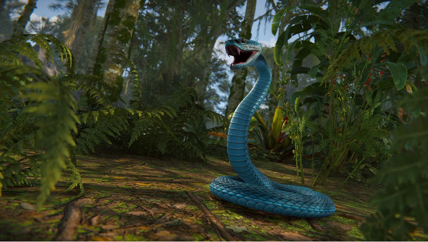 老外PTSD發作!《Rust》叢林地圖更新 實裝吹箭回旋鏢