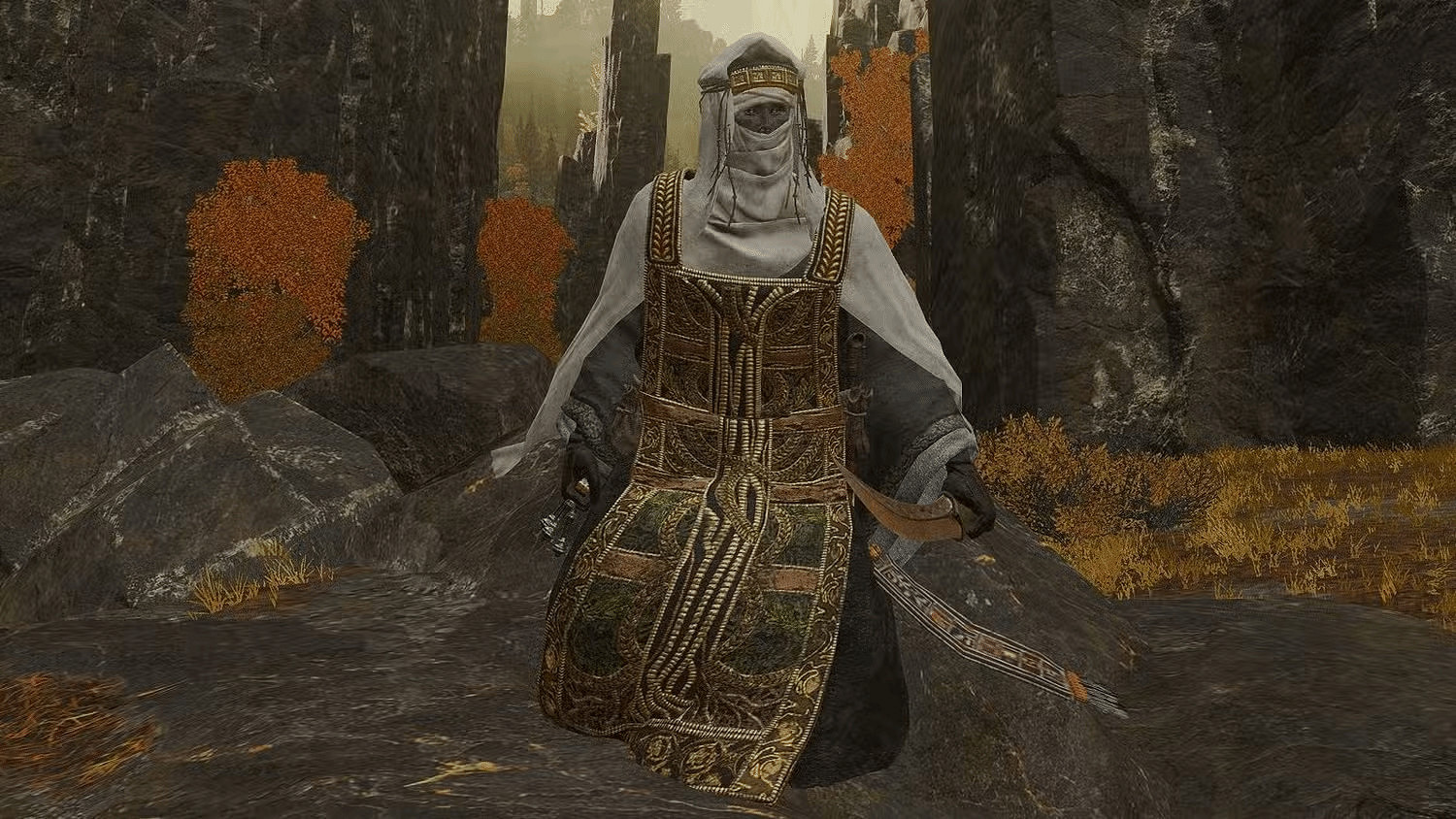 《艾爾登法環黑夜君臨》職業猜想:深挖七大潛力方向 《艾爾登法環黑夜君臨》職業猜想:深挖七大潛力方向