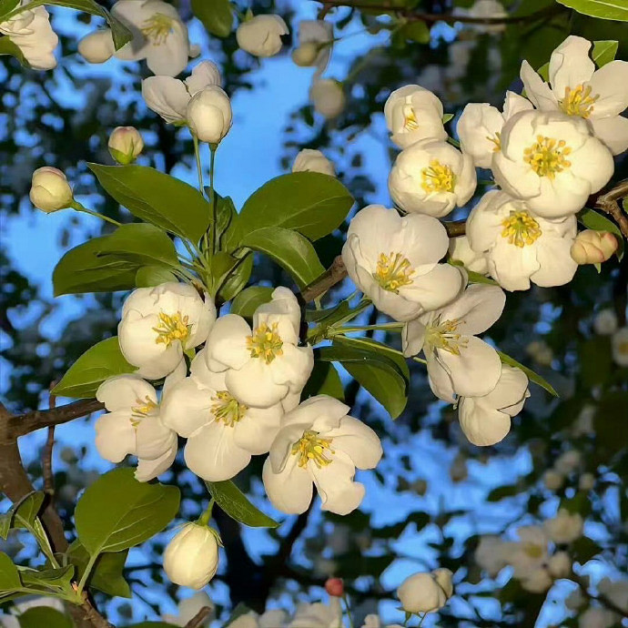 《英雄聯盟》2025最新暱稱可愛仙女介紹