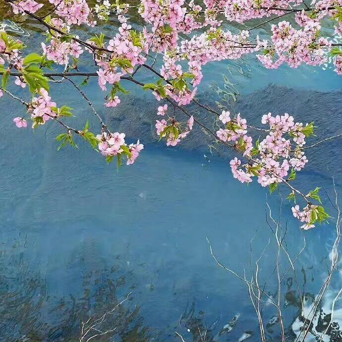 《英雄聯盟》小眾而高雅的暱稱一覽