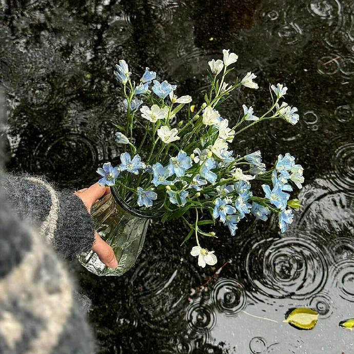 《英雄聯盟》又欲又撩的名字一覽