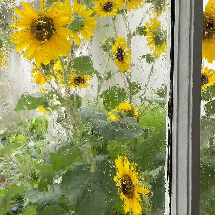 《英雄聯盟》渣女必備網名大全