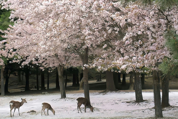 《英雄聯盟》蘊含深意的ID一覽