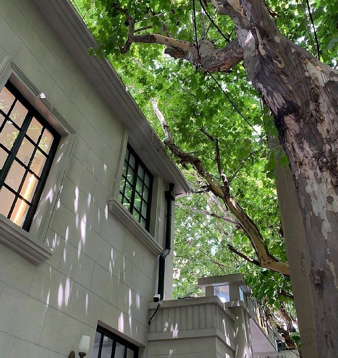 《英雄聯盟》寓意為一切順利的網名介紹