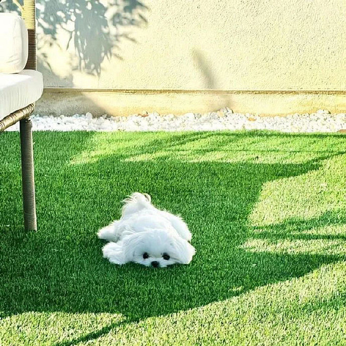 《英雄聯盟》女生嫵媚妖嬈的暱稱一覽