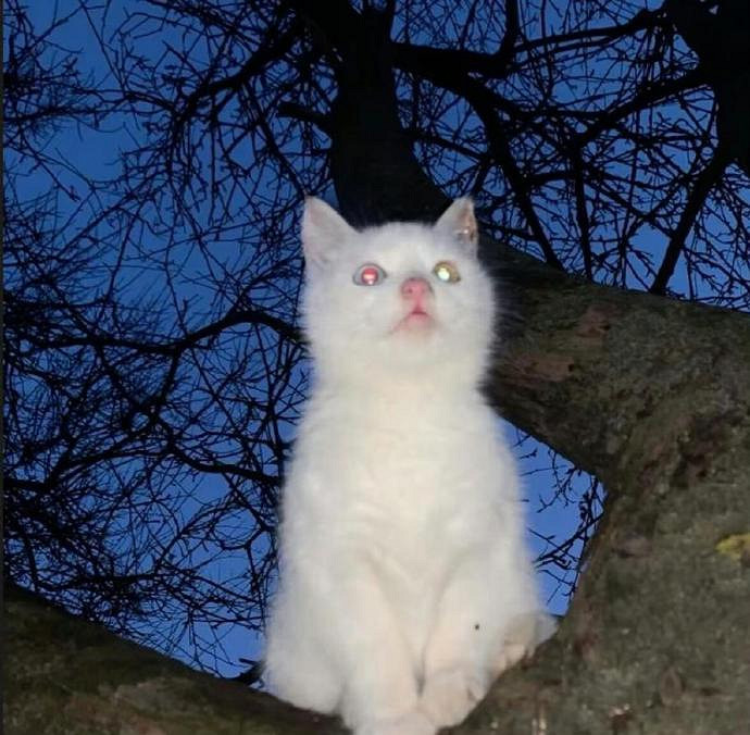 《英雄聯盟》優雅浪漫的網名大全 《英雄聯盟》優雅浪漫的網名大全