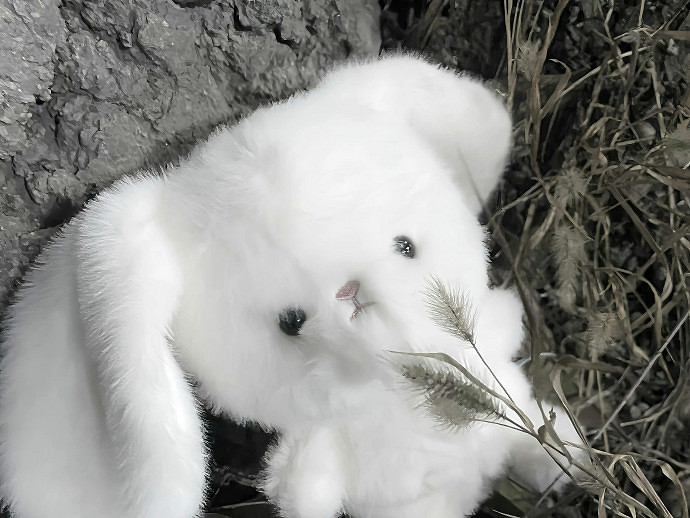 《英雄聯盟》充滿詩意的ID大全