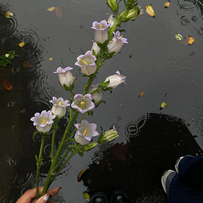 《英雄聯盟》又欲又撩的名字一覽