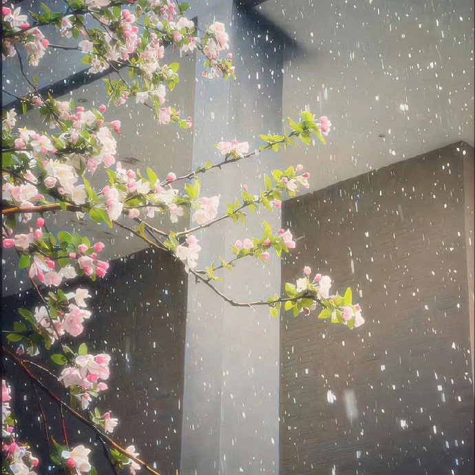 《英雄聯盟》適合80後的簡單的女網名大全