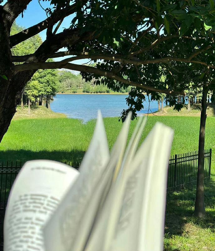 《英雄聯盟》獨一無二小眾意境網名分享