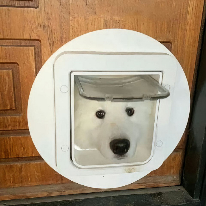 《英雄聯盟》格局大的網名分享