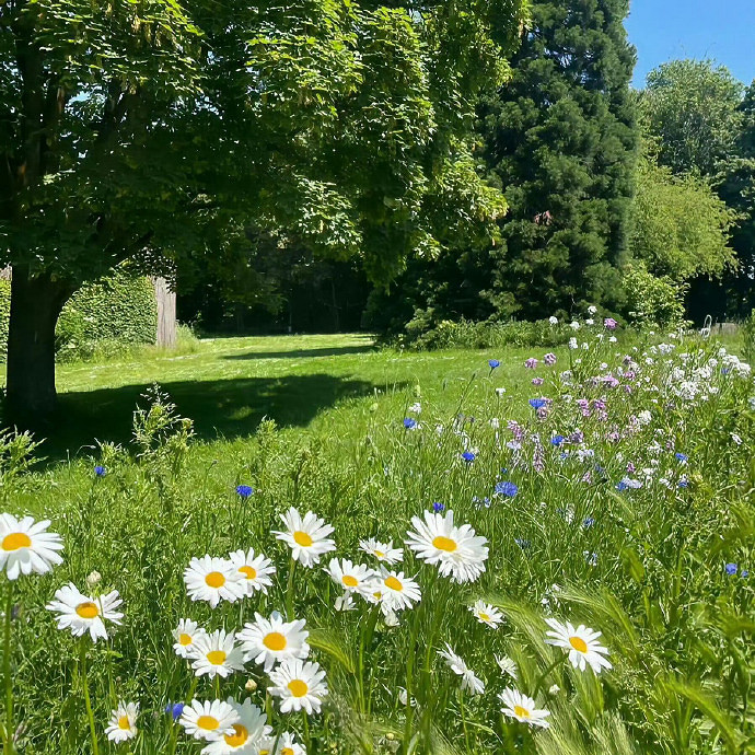 《英雄聯盟》渣女必備網名大全