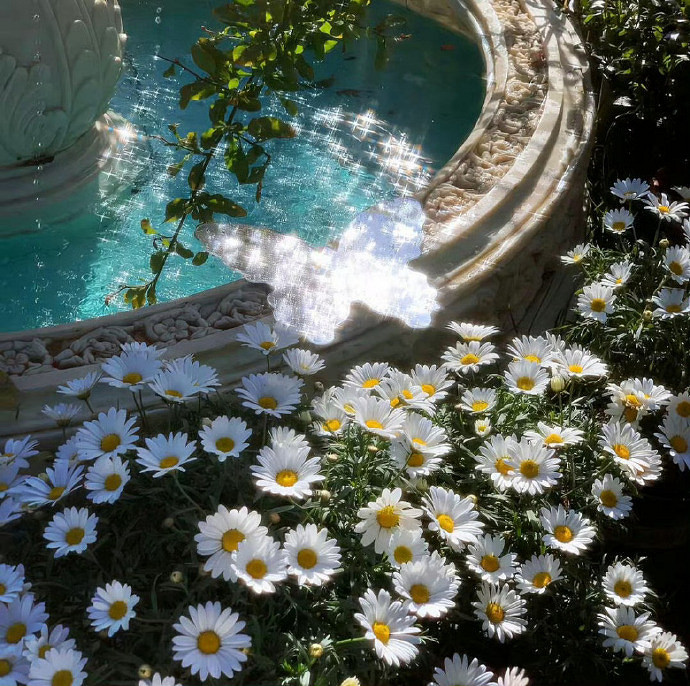 《英雄聯盟》渣女必備網名大全