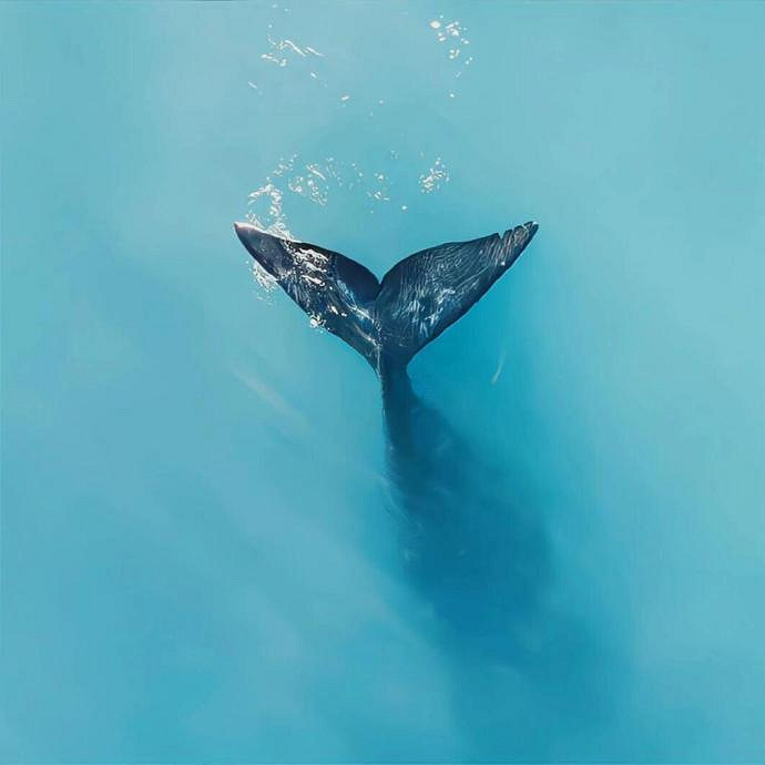 《英雄聯盟》預示好運的名字大全