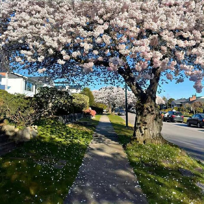 《英雄聯盟》獨一無二小眾意境網名分享