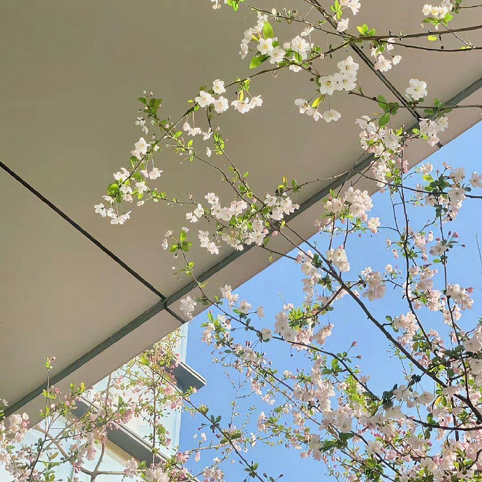 《英雄聯盟》2025最新暱稱可愛仙女介紹