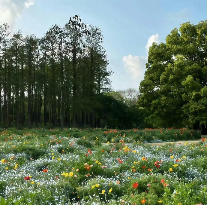 《英雄聯盟》又欲又撩的名字一覽