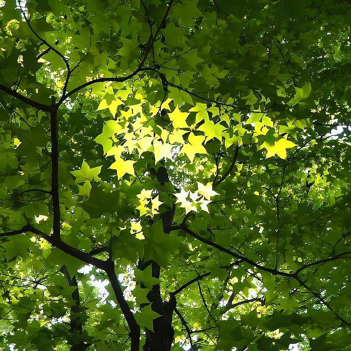 《英雄聯盟》獨一無二小眾意境網名分享