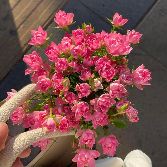 《英雄聯盟》又欲又撩的名字一覽